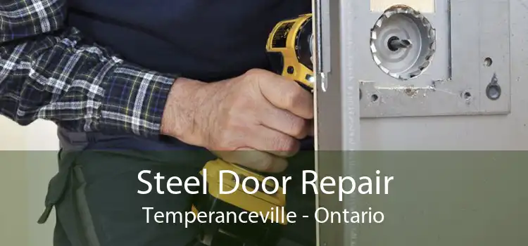 Steel Door Repair Temperanceville - Ontario