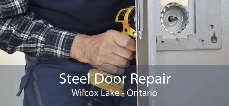 Steel Door Repair Wilcox Lake - Ontario