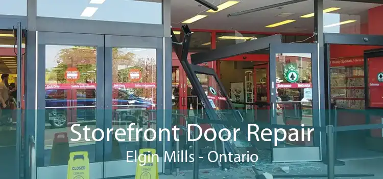 Storefront Door Repair Elgin Mills - Ontario