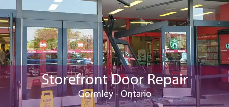 Storefront Door Repair Gormley - Ontario