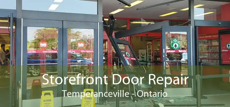 Storefront Door Repair Temperanceville - Ontario
