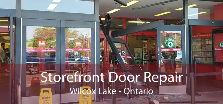 Storefront Door Repair Wilcox Lake - Ontario