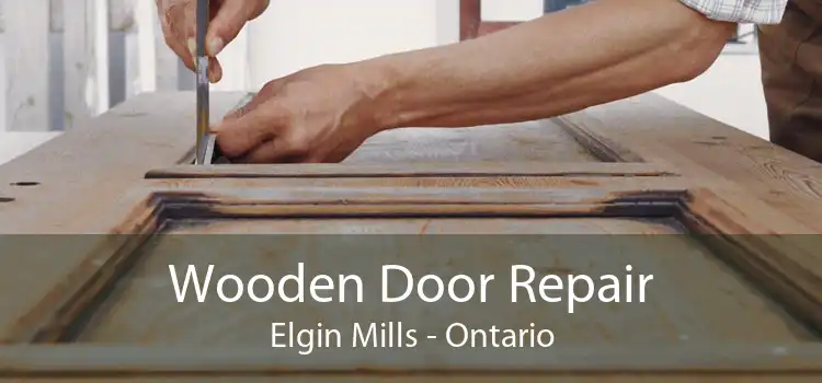 Wooden Door Repair Elgin Mills - Ontario