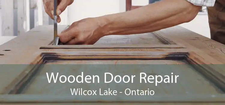 Wooden Door Repair Wilcox Lake - Ontario